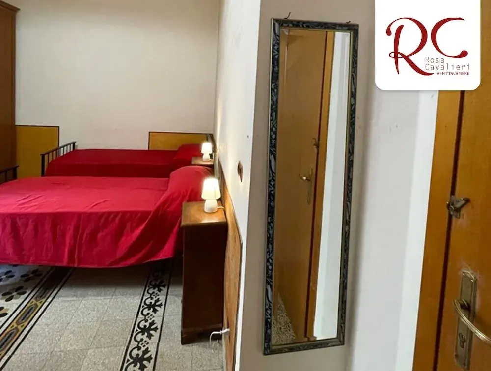 Deluxe Double room (full double bed)