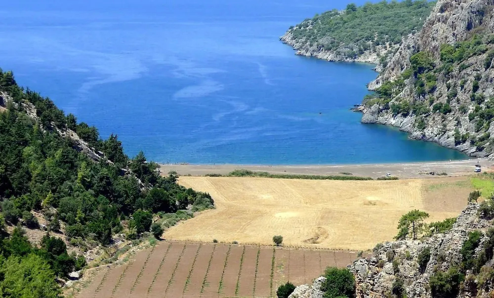 Beach & Waterfront
