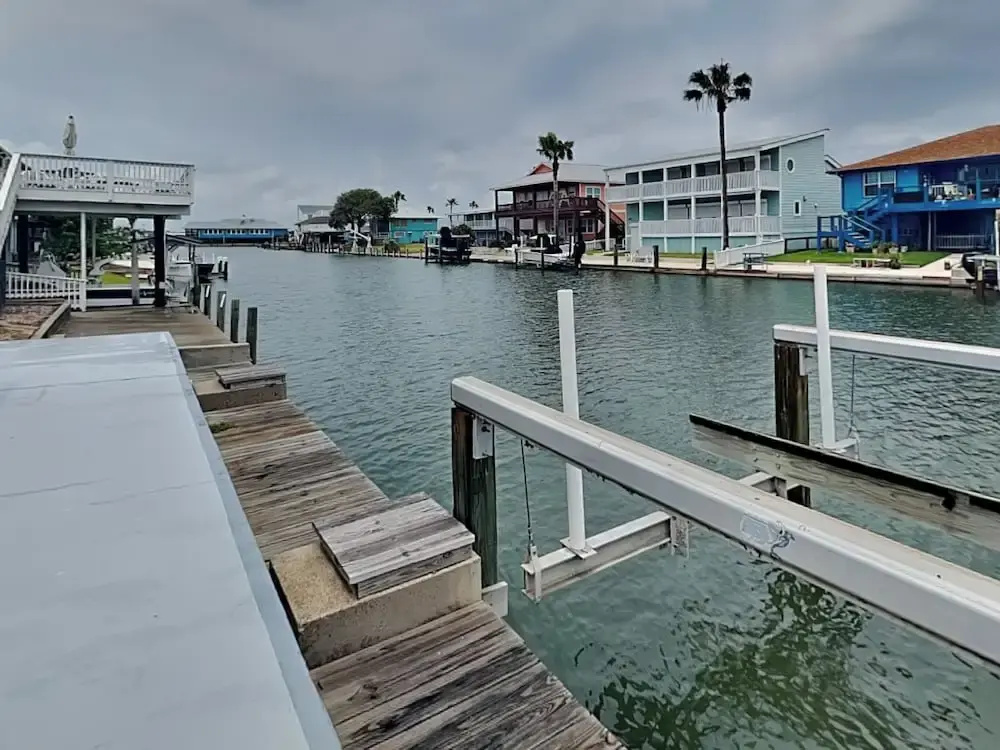 Dolphin Paradise by Miss Kitty’s