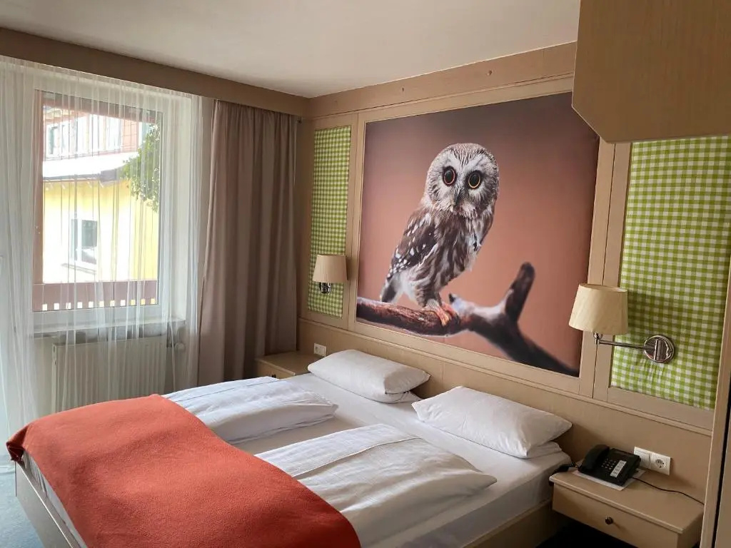 Standard Double room (full double bed)