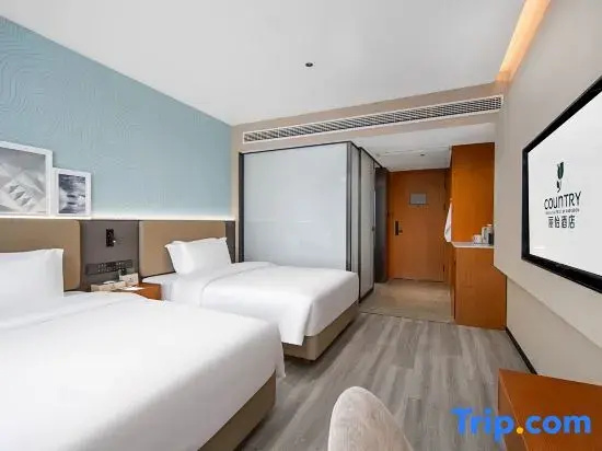 Standard Double room with city view (twin beds)