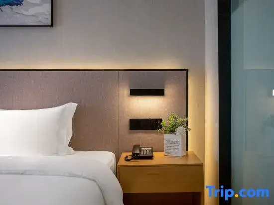 Standard Double Family room (twin beds)