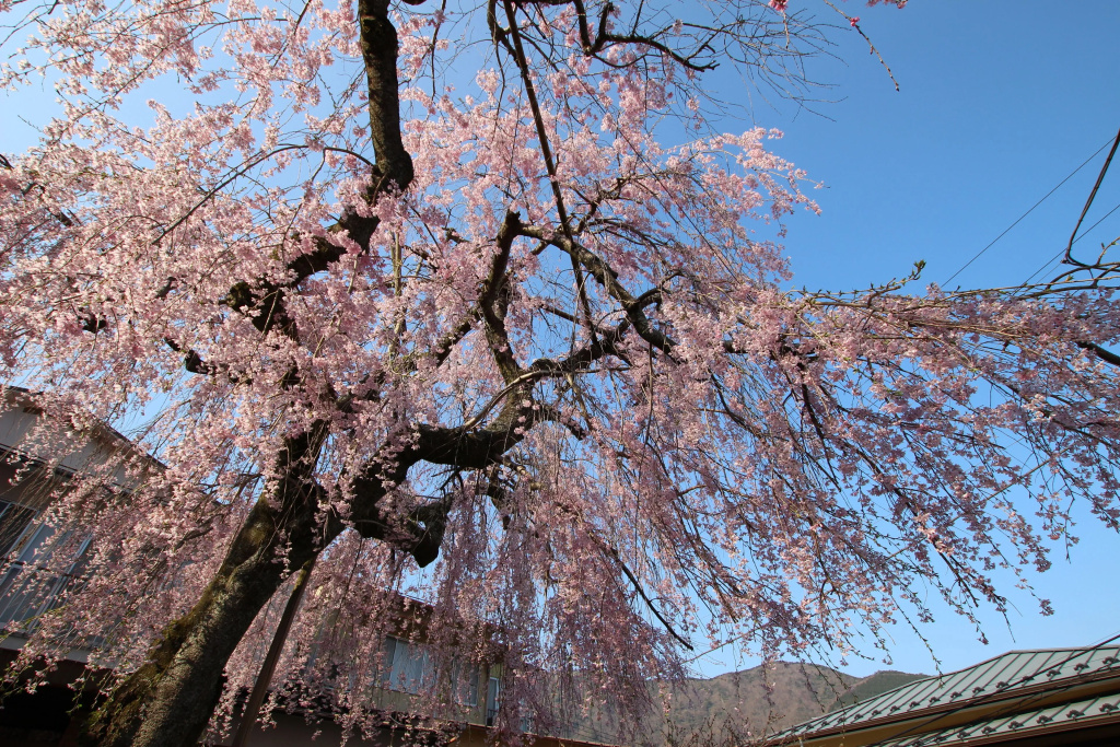 Taisho Motor Wir zen - Vacation STAY 88575 사진 15