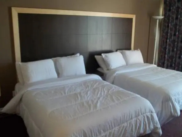 Bed in Dorm
