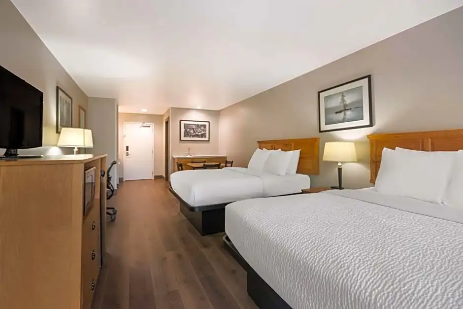 Quadruple Suite