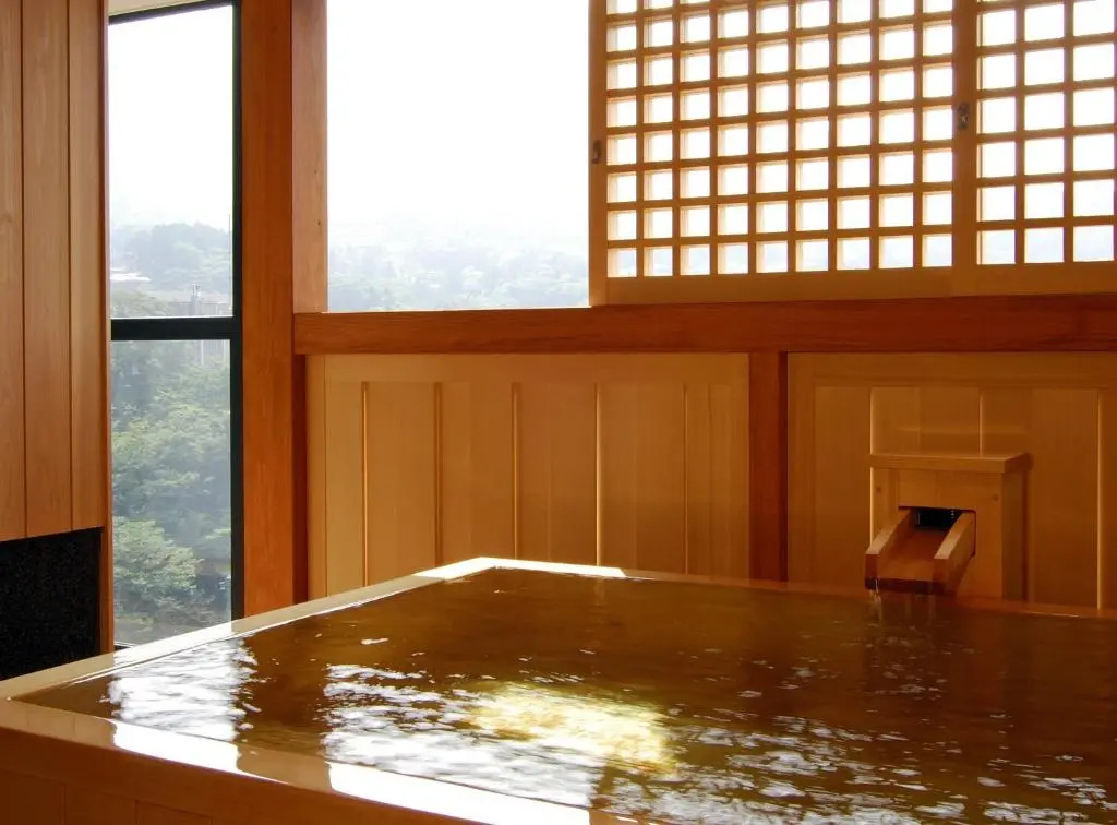 Hakone Tokinoshizuku - Chambres