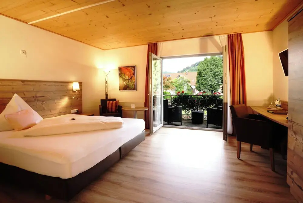 Comfort Double room (full double bed)
