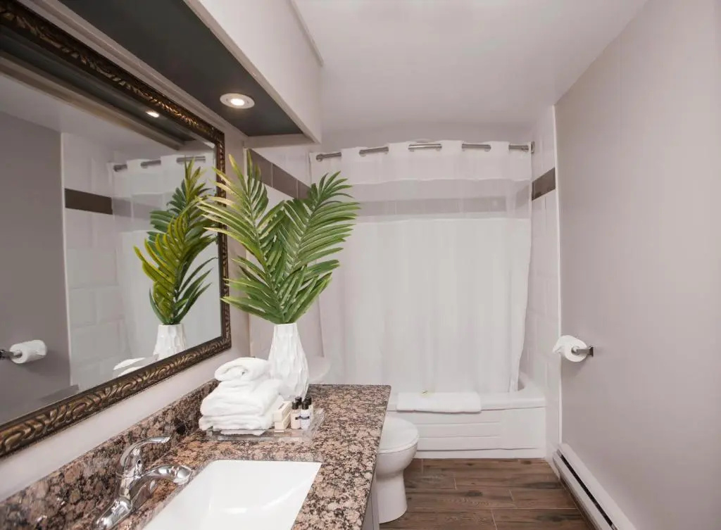 Superior Double room with courtyard view (full double bed)