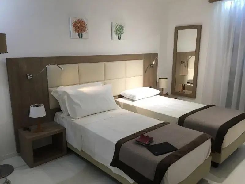 Standard Double room (full double bed)