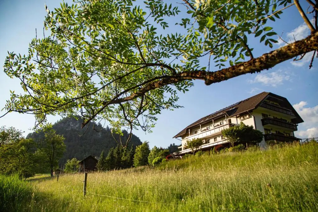 Nature Hotel Lukanc Bled - Chambres
