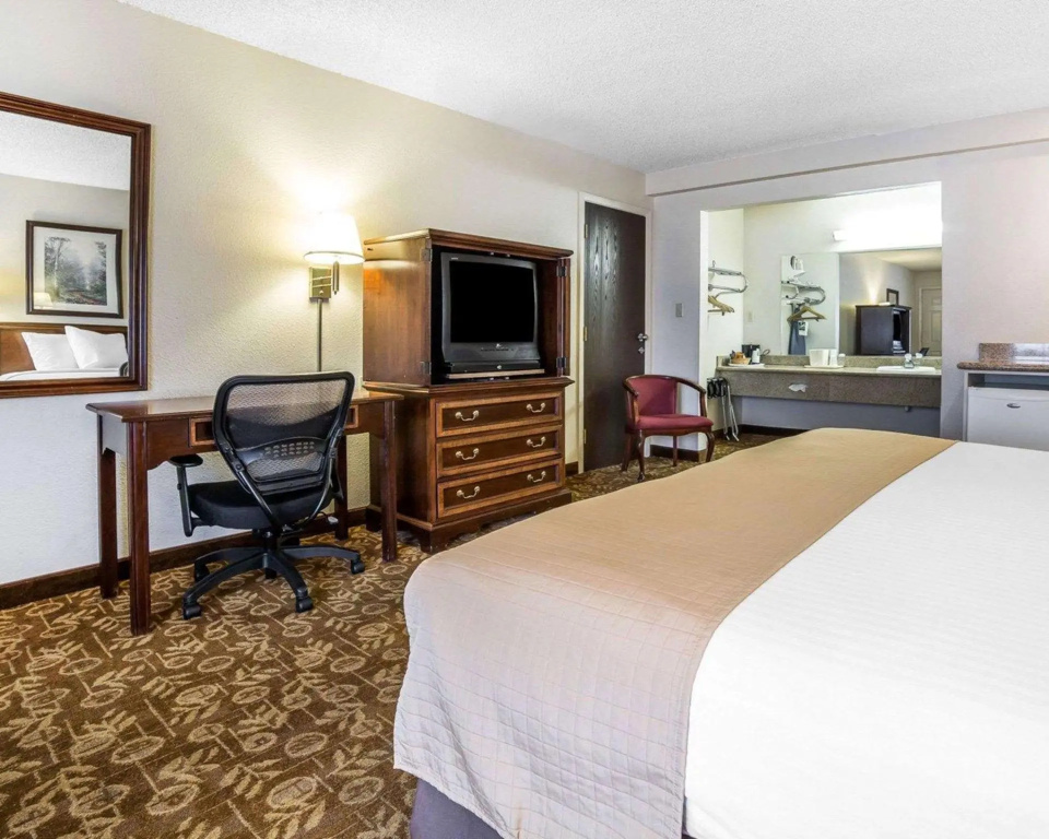 Double Suite (full double bed)