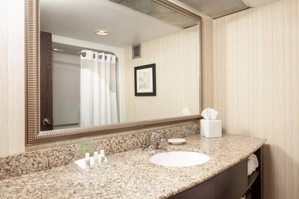 Holiday Inn Dubuque/Galena by IHG - Général