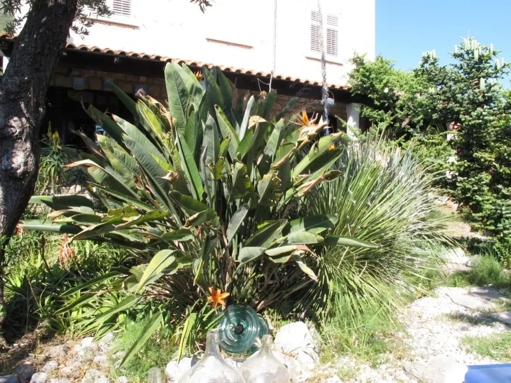 Guest House Maria Bilicic 2