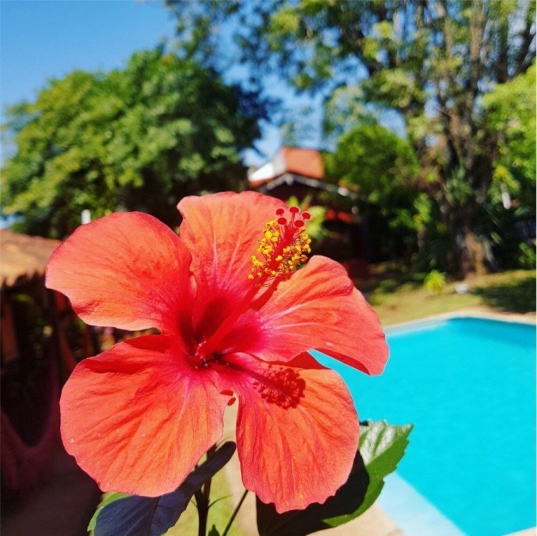Iguazu Falls Hostel