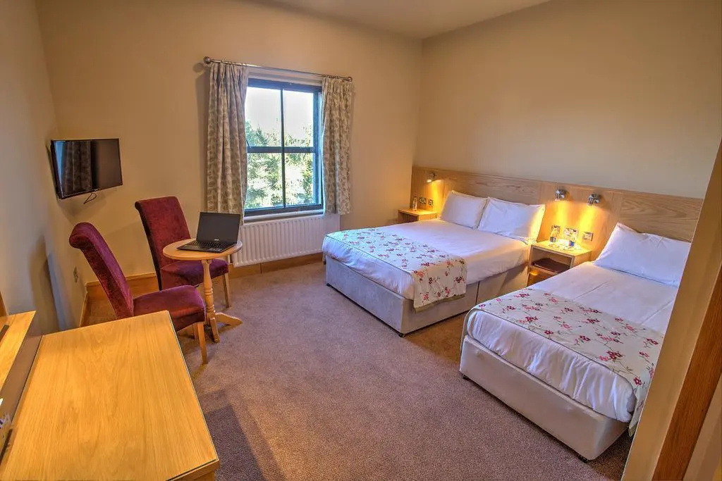The Lucan Spa Hotel - Général