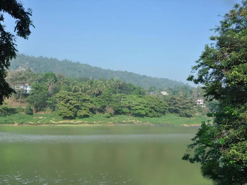 山景四人房，配有兩張大床