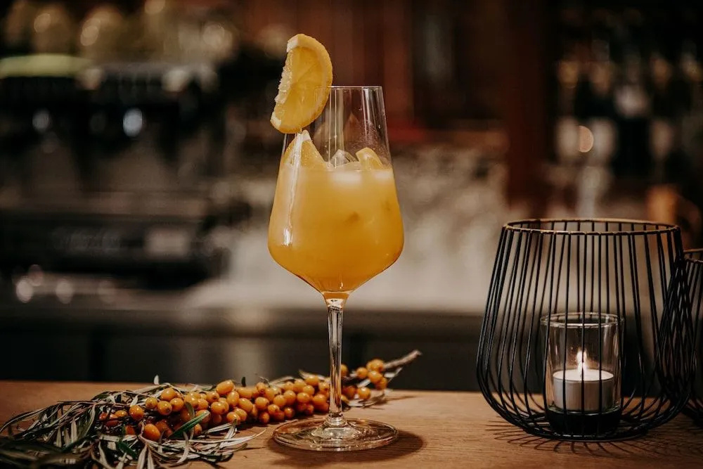 Der Eisvogel - Wellness- & Genusshotel - Général