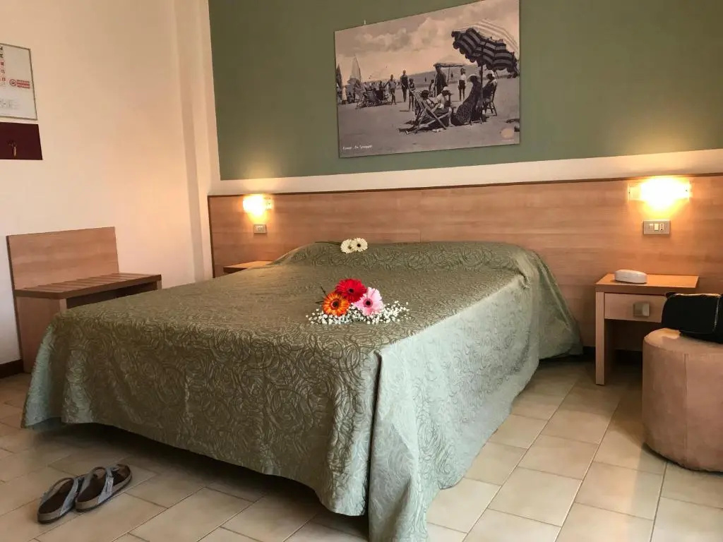Standard Double room (full double bed)