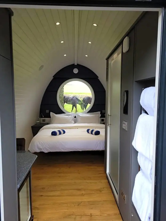 Marshall Meadows Country House Hotel - Chambres
