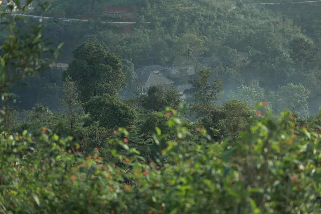 Lakkidi Village Resort - Chambres