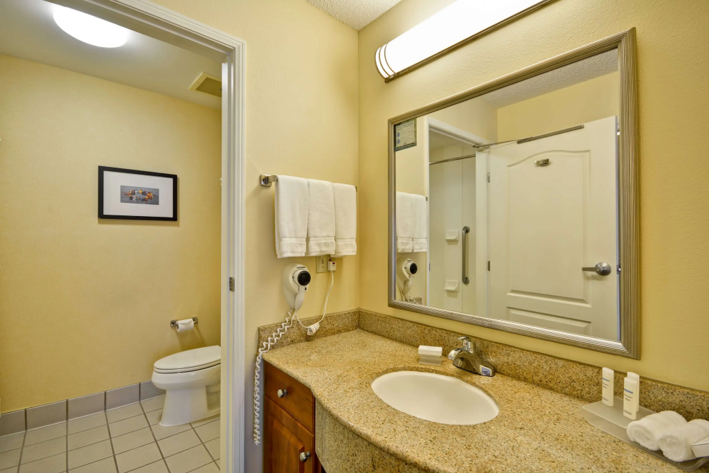 Homewood Suites by Hilton Newark-Wilmington South Area - Général