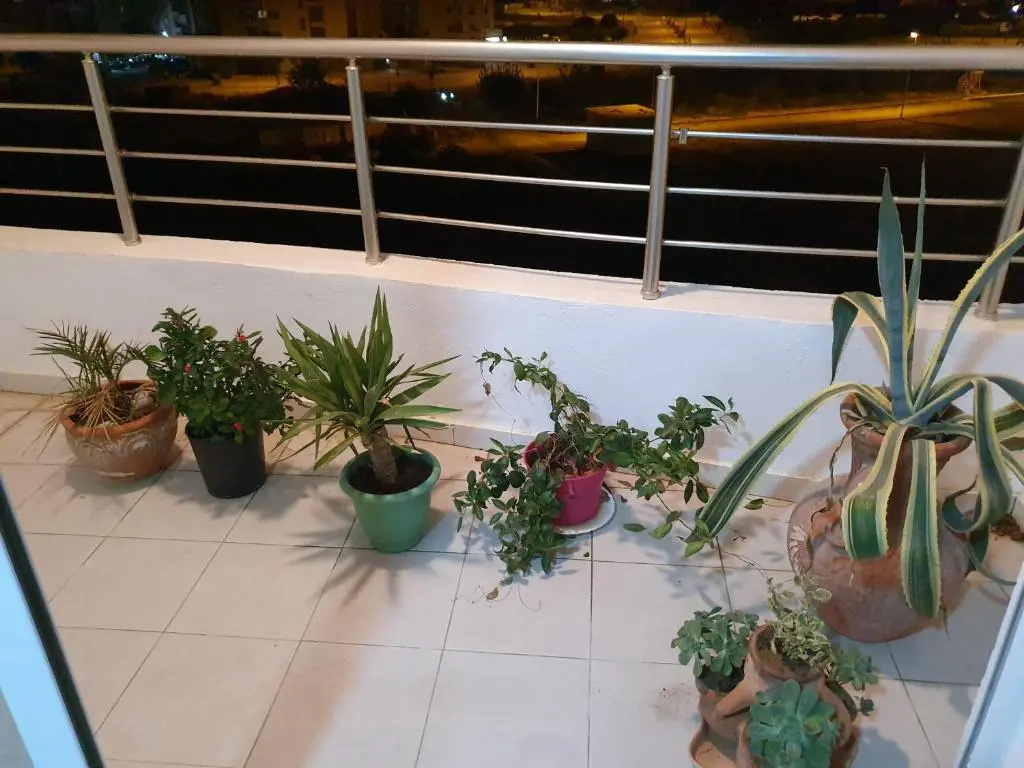 Luxury and Splendid 2 Bedrooms Apartment in Jardin De Carthage Tunis
