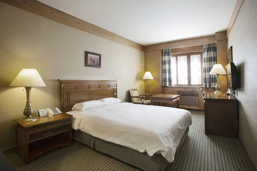Standard Double room with city view (full double bed)