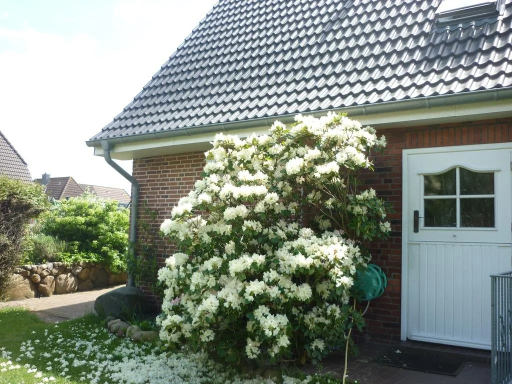 Pension Sturmmöwe