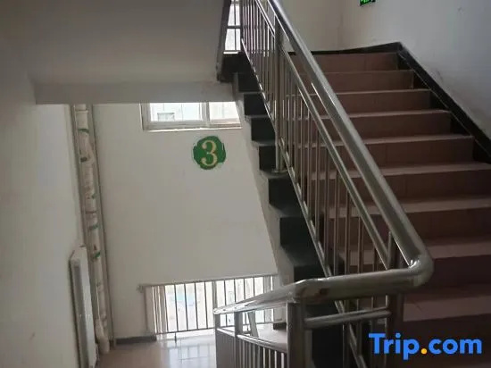 Balcony & Terrace