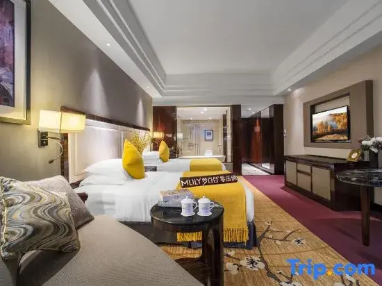 Kaiping Jade Bay Funyard Phoenix Hotel - Chambres