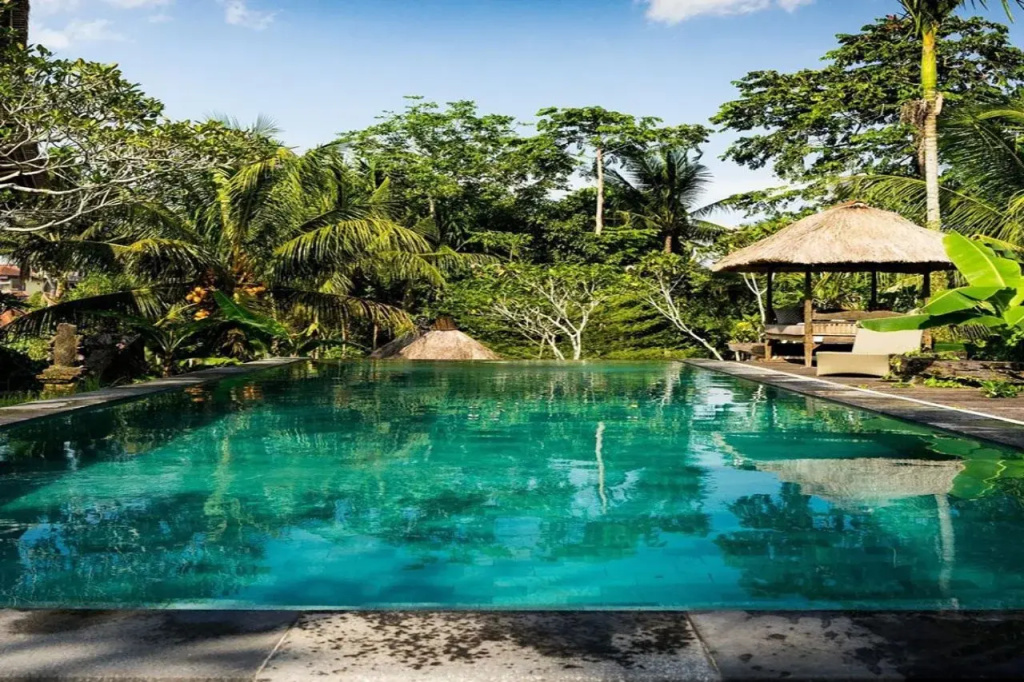 Ubud Sari Health Resort - Général