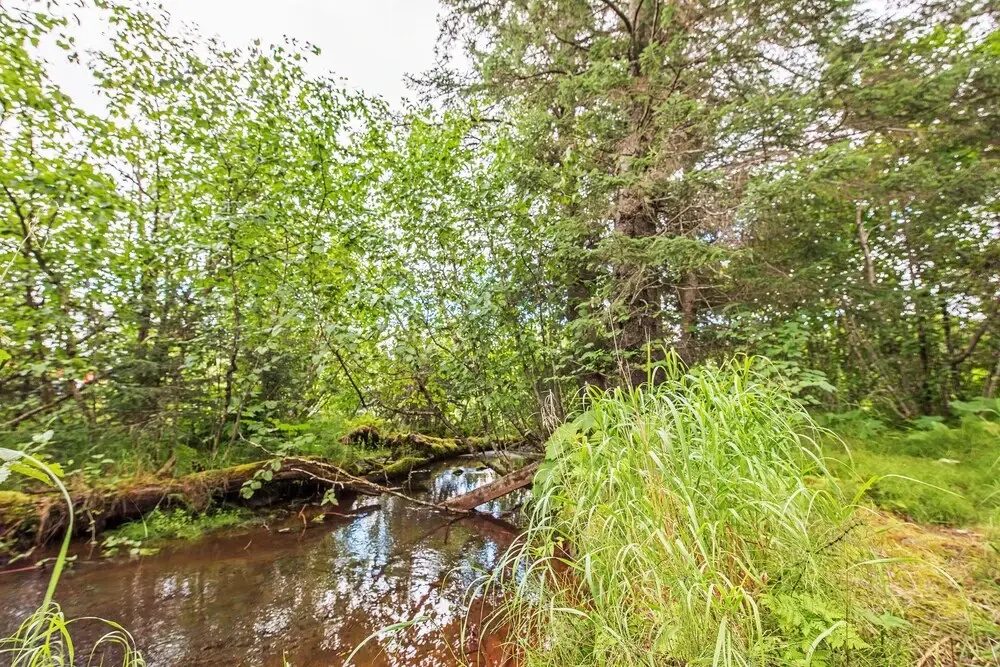 Secluded Seward Home: Patio, 2 Mi to Kenai Fjords!