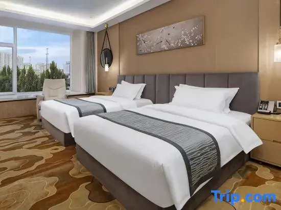 Standard Double room (twin beds)