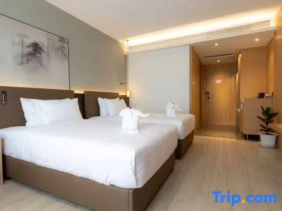 Deluxe Double room (twin beds)