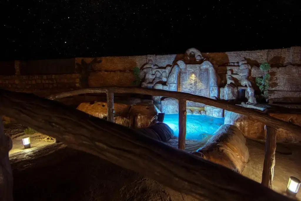Petra Seasons Luxury Resort - фото 22