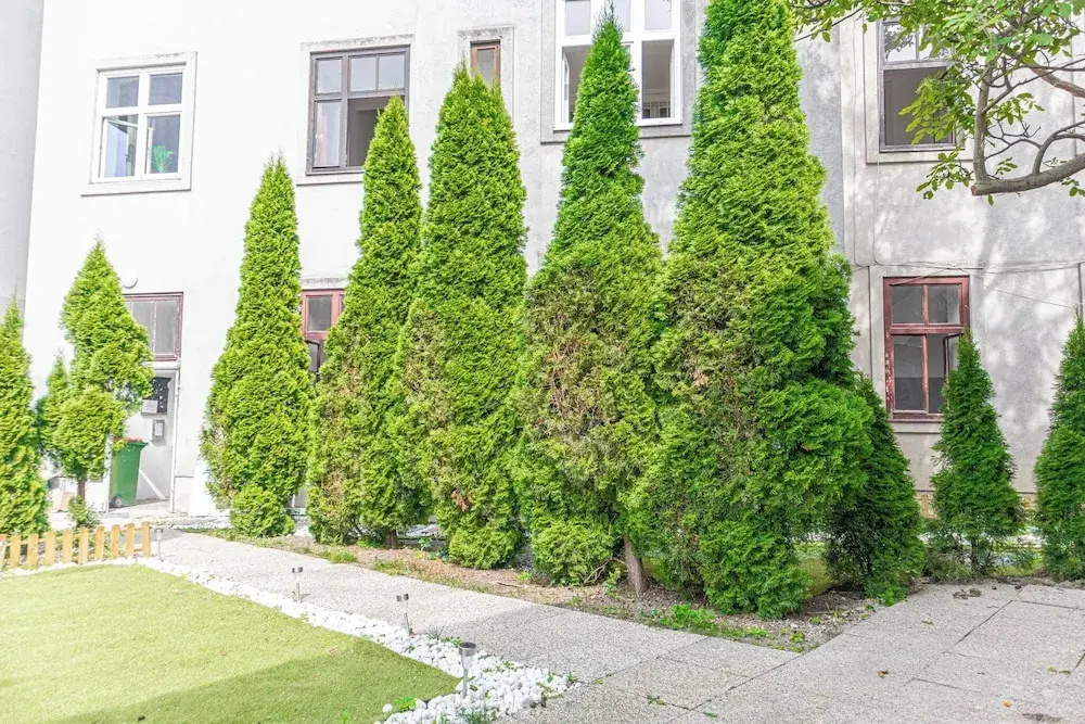 Charming 1BR Getaway Central Meidling