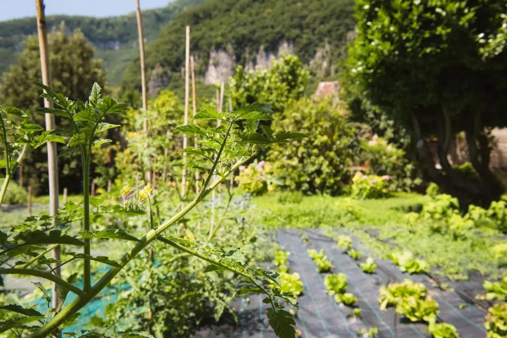 Deluxe Double room full double bed