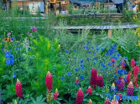 Kanas picturesque mountain residential homestay