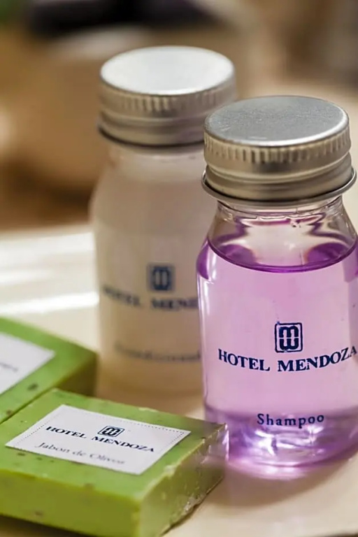 Hotel Mendoza - Chambres