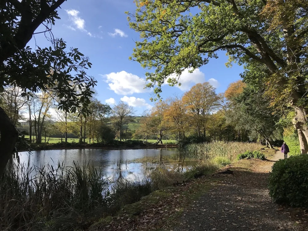 Maesyfelin Isaf