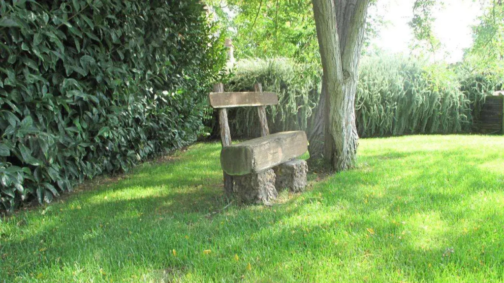 Agriturismo Podere Turicchio - Général