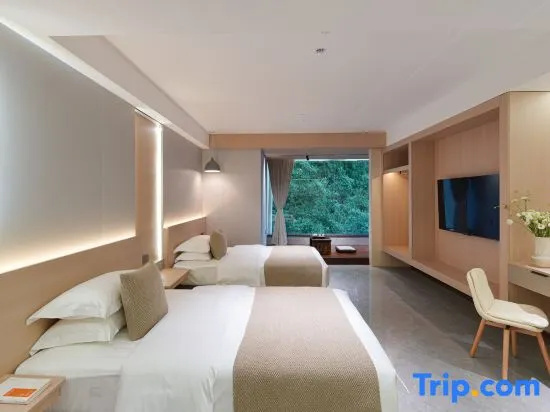 Standard Double room with mountain view (twin beds)
