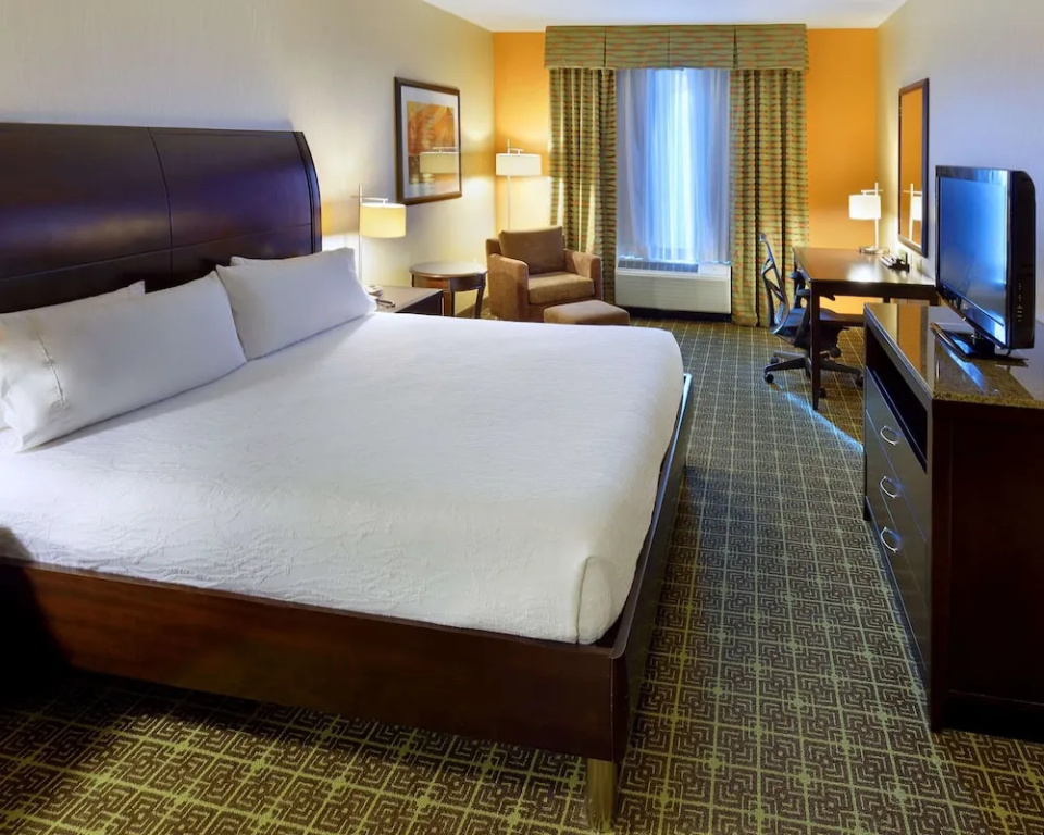 1 Bedroom Suite