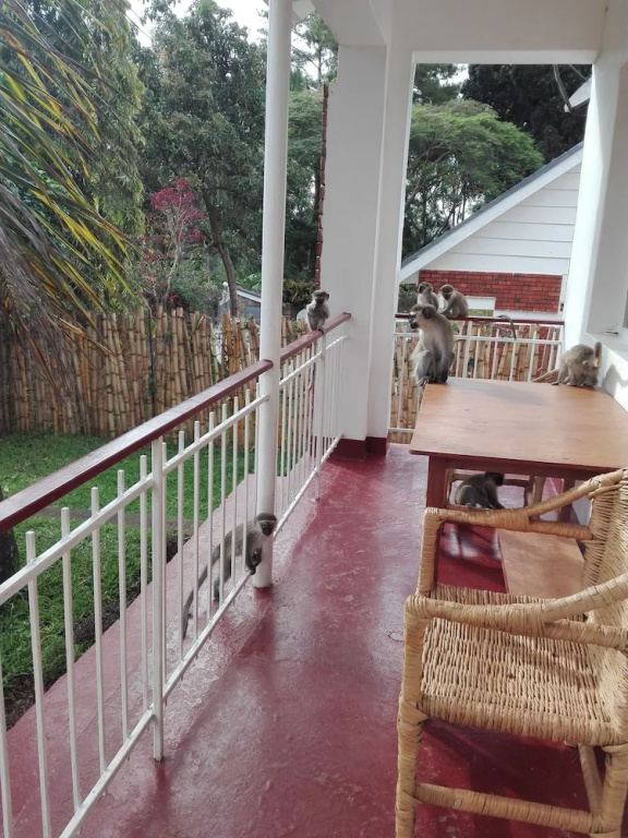 Hotel photo 13