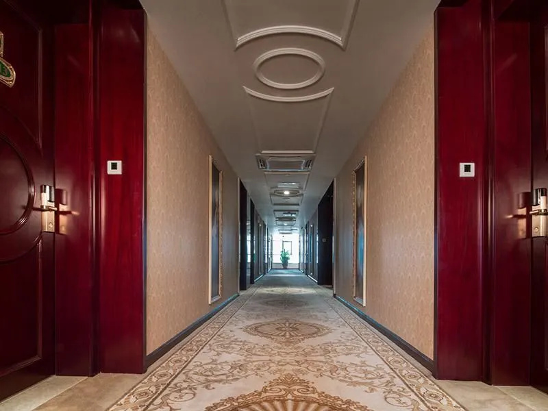 Vienna Hotel Shawan - Général