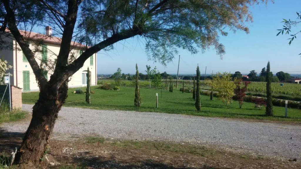 Hotel photo 33