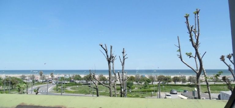 Beach & Waterfront