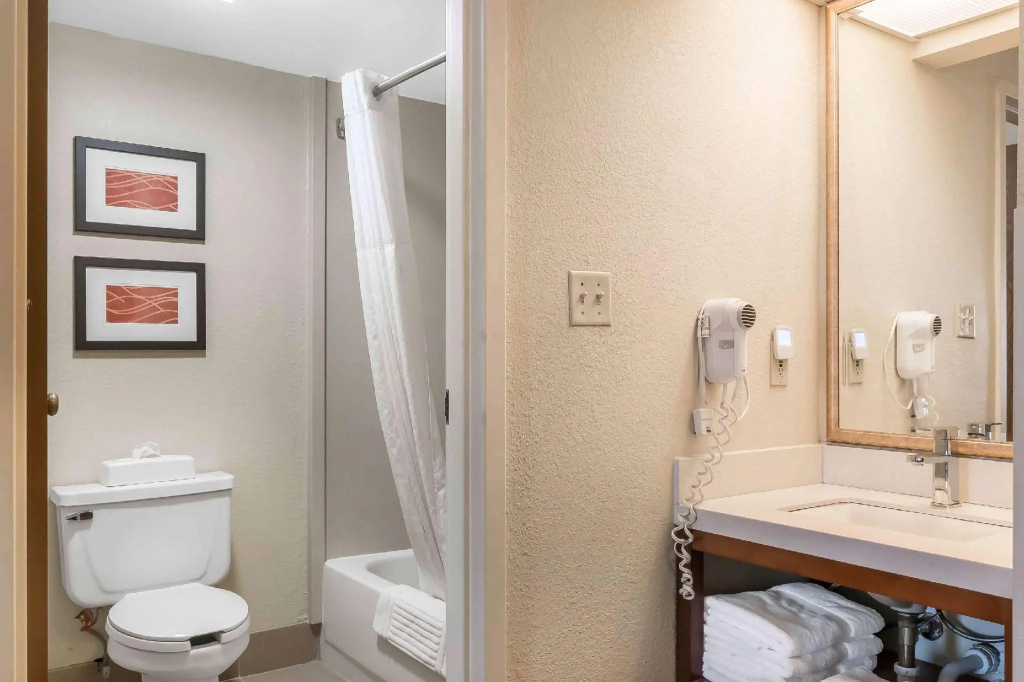 Comfort Inn Pine Grove I-81 Hershey Area - Chambres