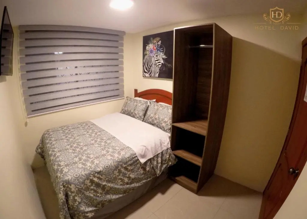 Hotel David - Chambres