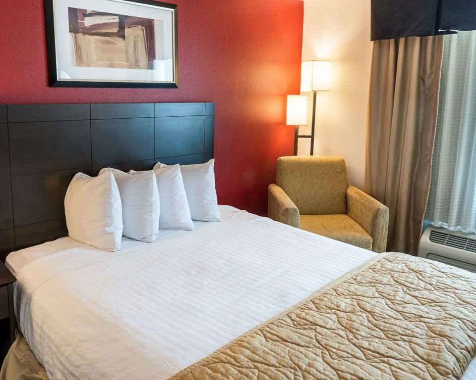 Standard Double room (full double bed)